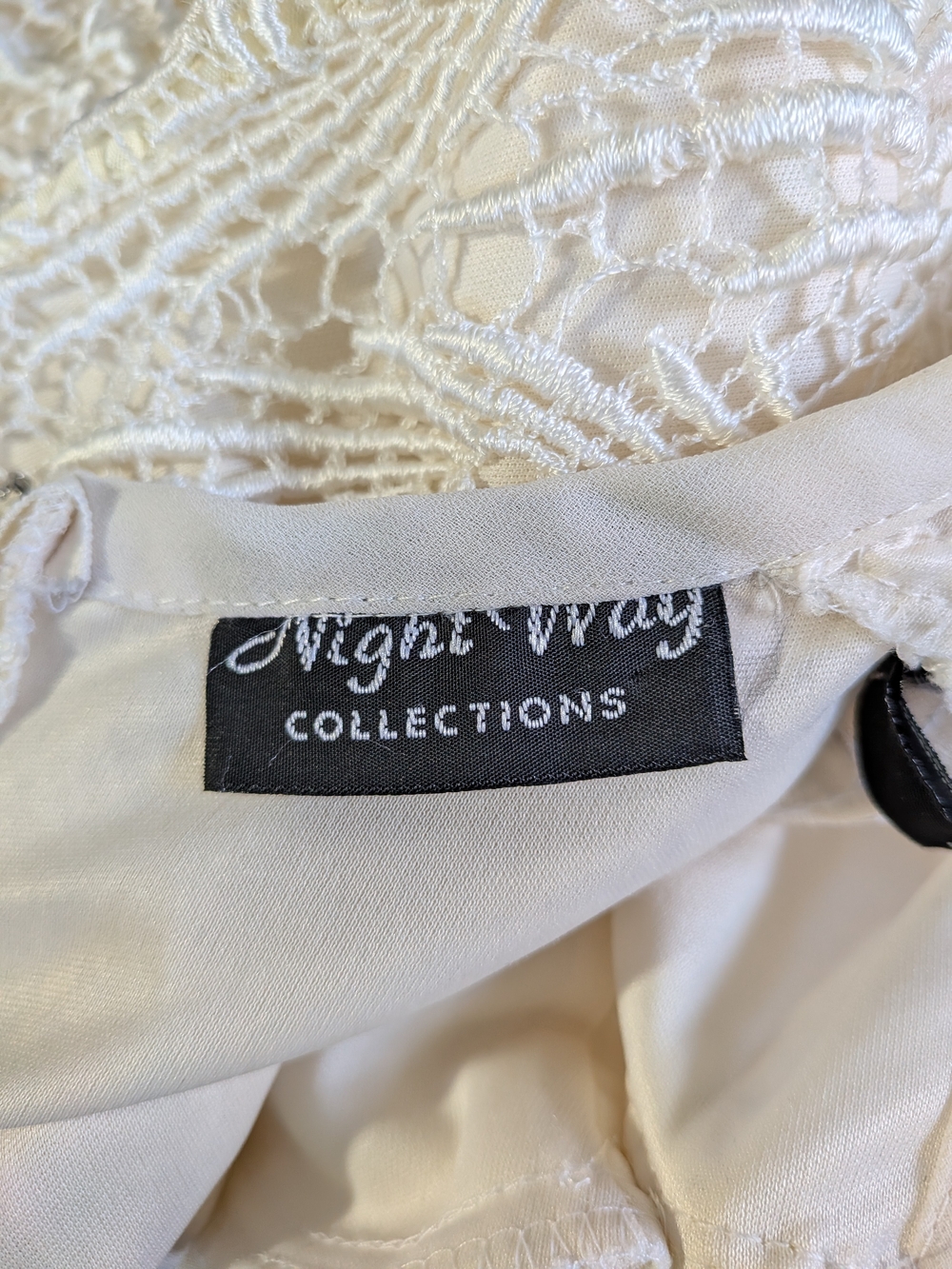 Night Way Collections Cream Lace Dress with Embroidery Fringe Details 10 Petite - Picture 6 of 10